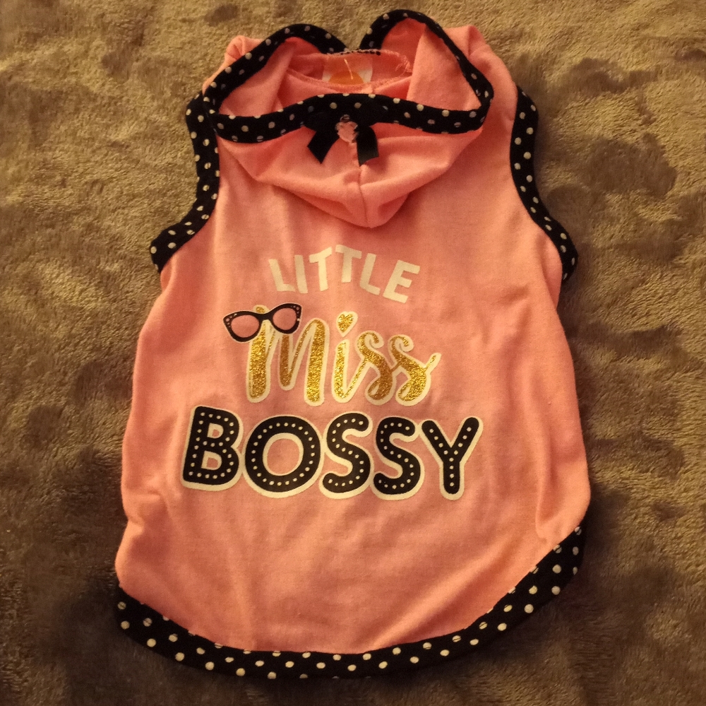 Cute Boss pullover Size Small